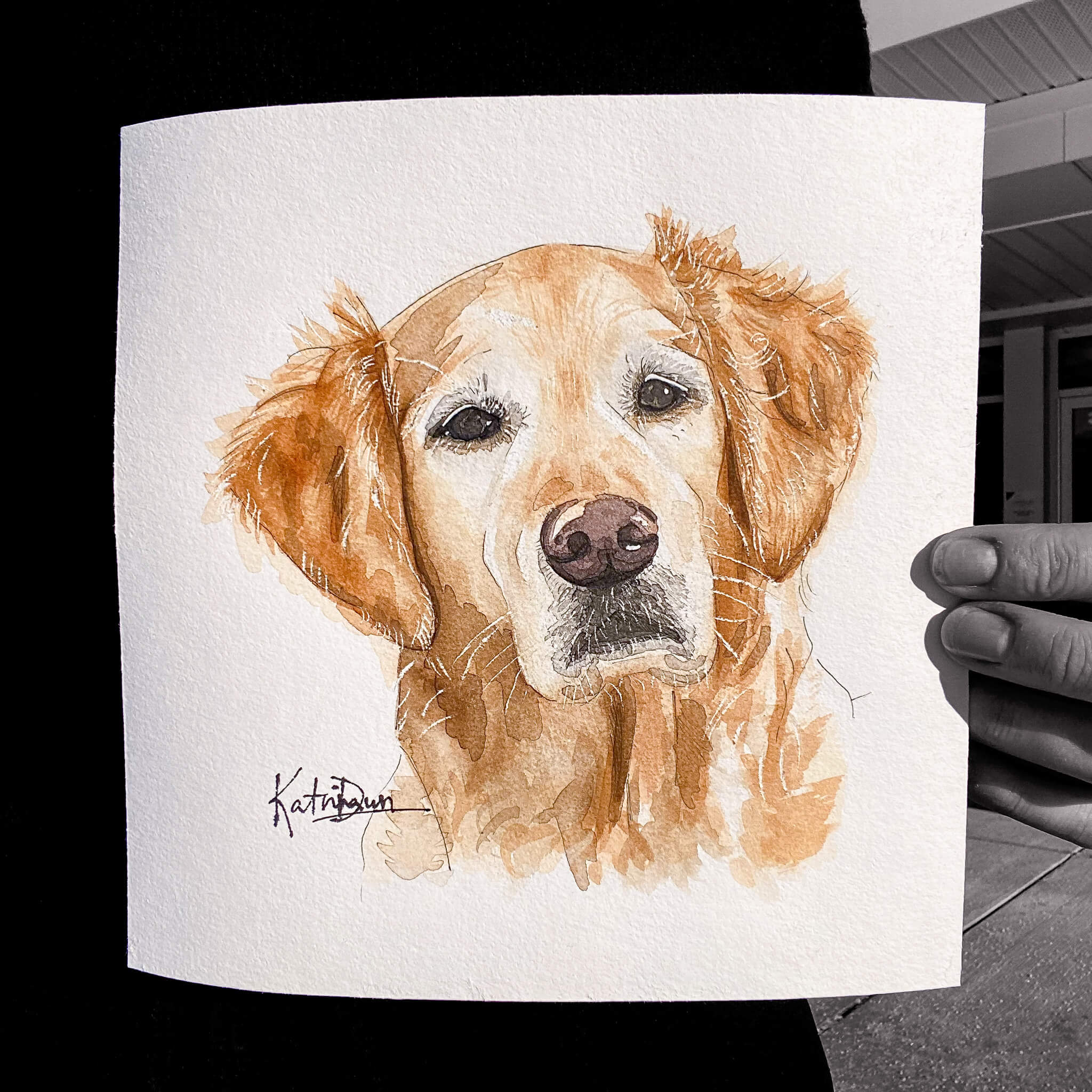 Golden Retriever Pet Portrait, watercolor sketch by artist Katrina Dawn