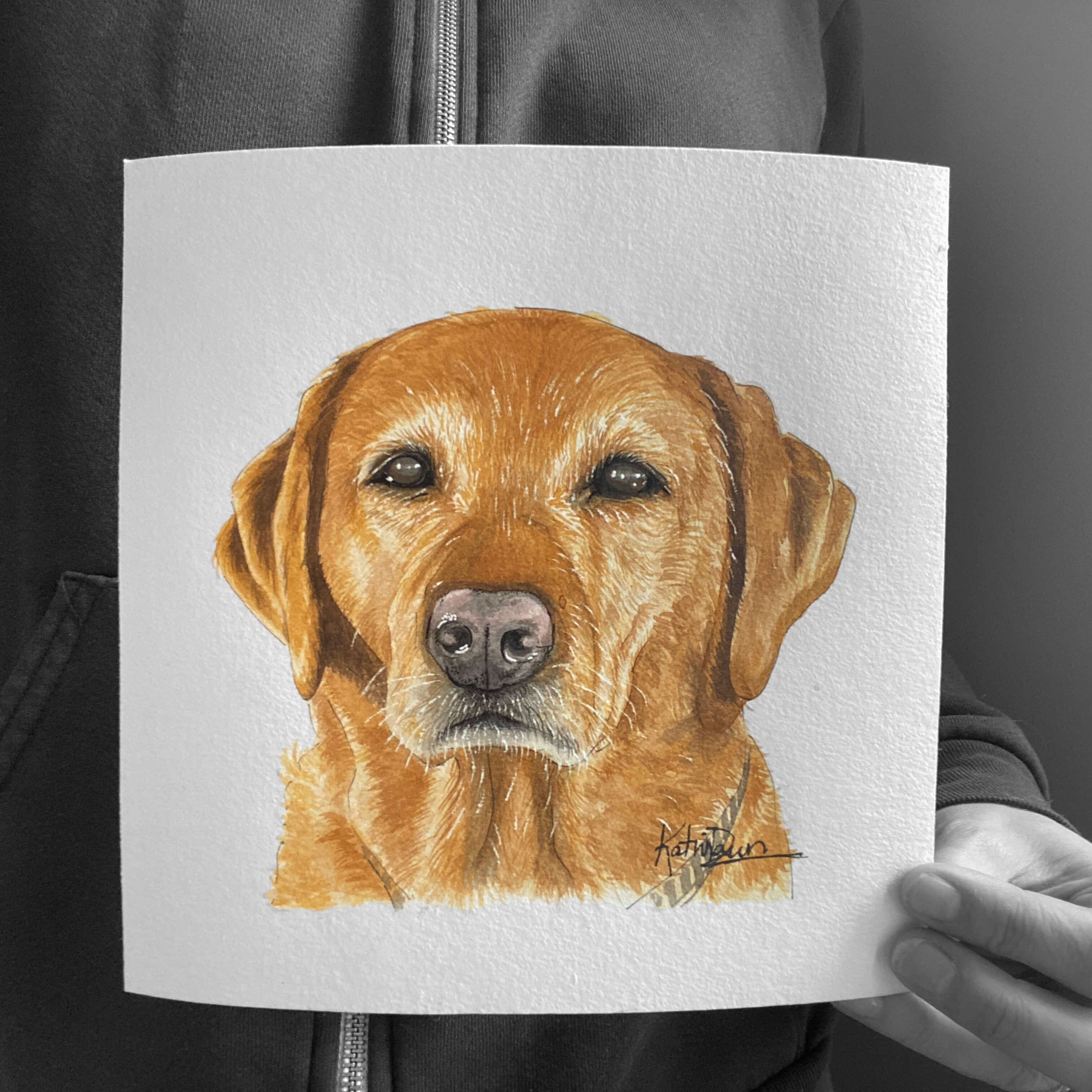 Dog Pet Portrait, watercolor sketch by artist Katrina Dawn