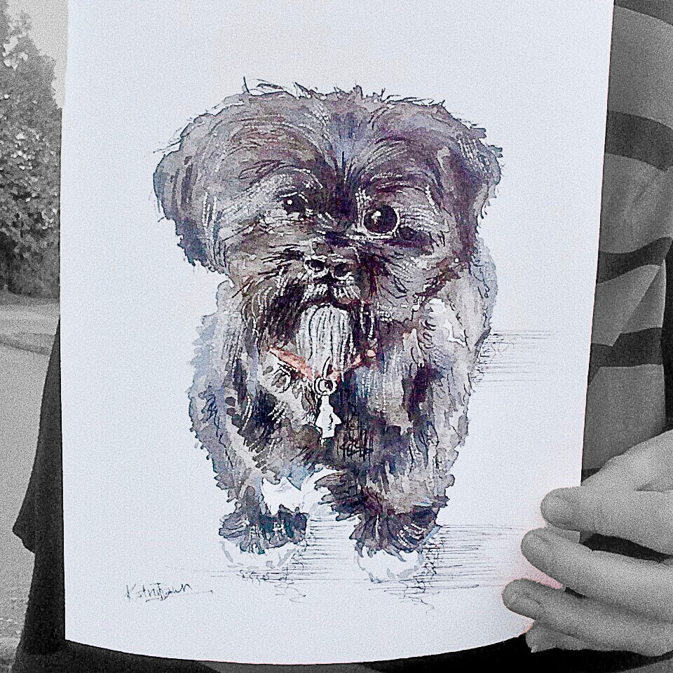 Shih-Tzu Pet Portrait by watercolour sketcher Katrina Dawn