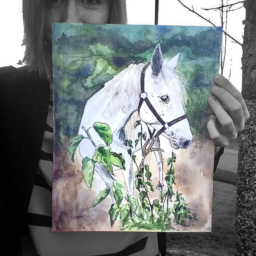 Horse Pet Portrait by watercolor sketcher Katrina Dawn