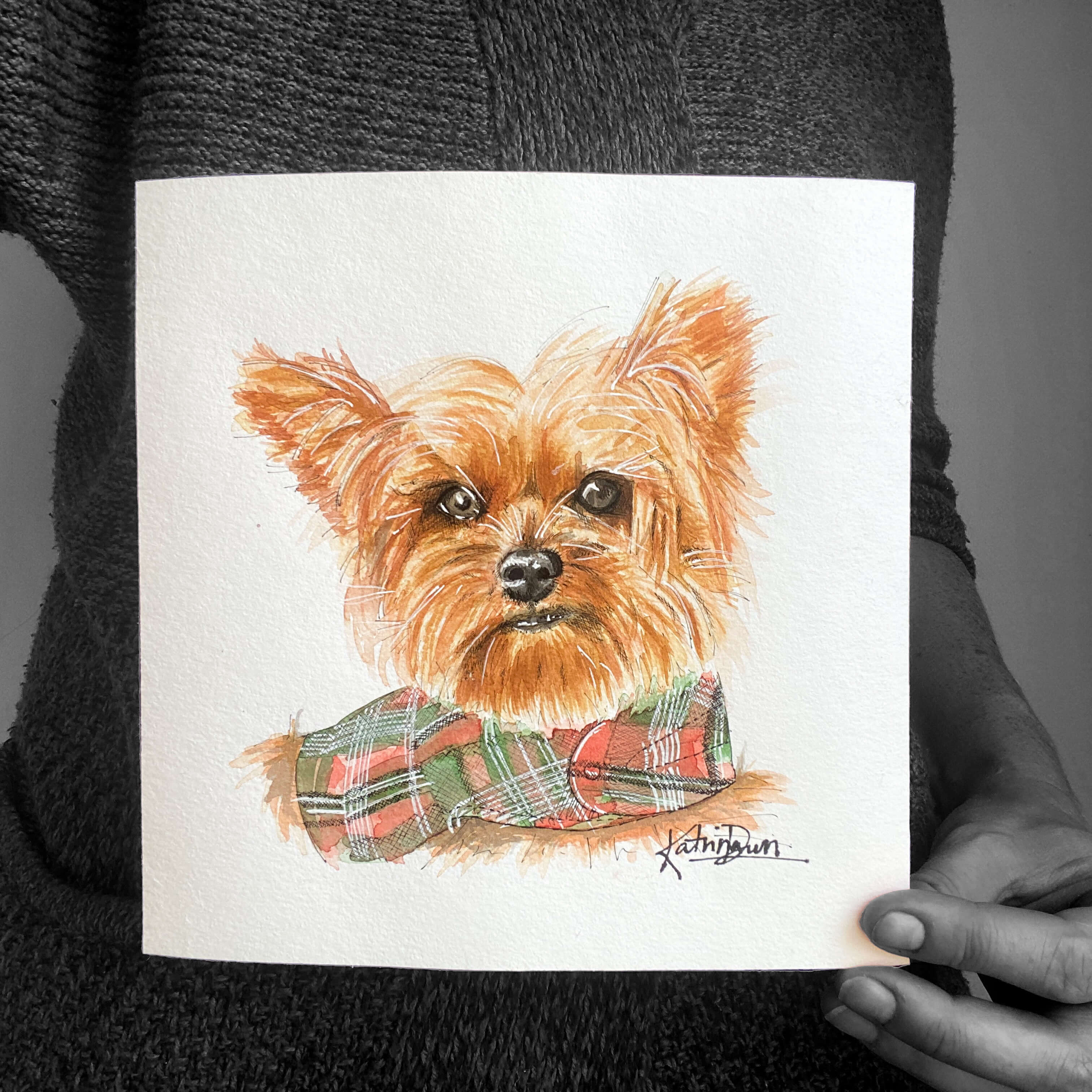 Pet Portrait of Yorkie, watercolour sketch by artist Katrina Dawn