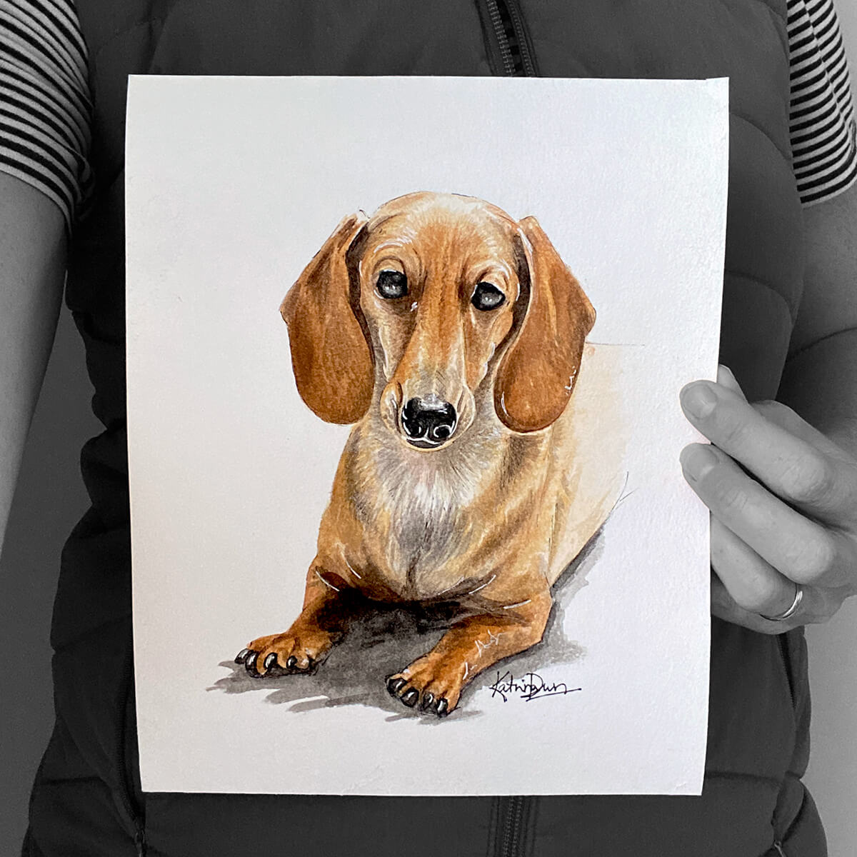 Mini Dachshund, Phoenix