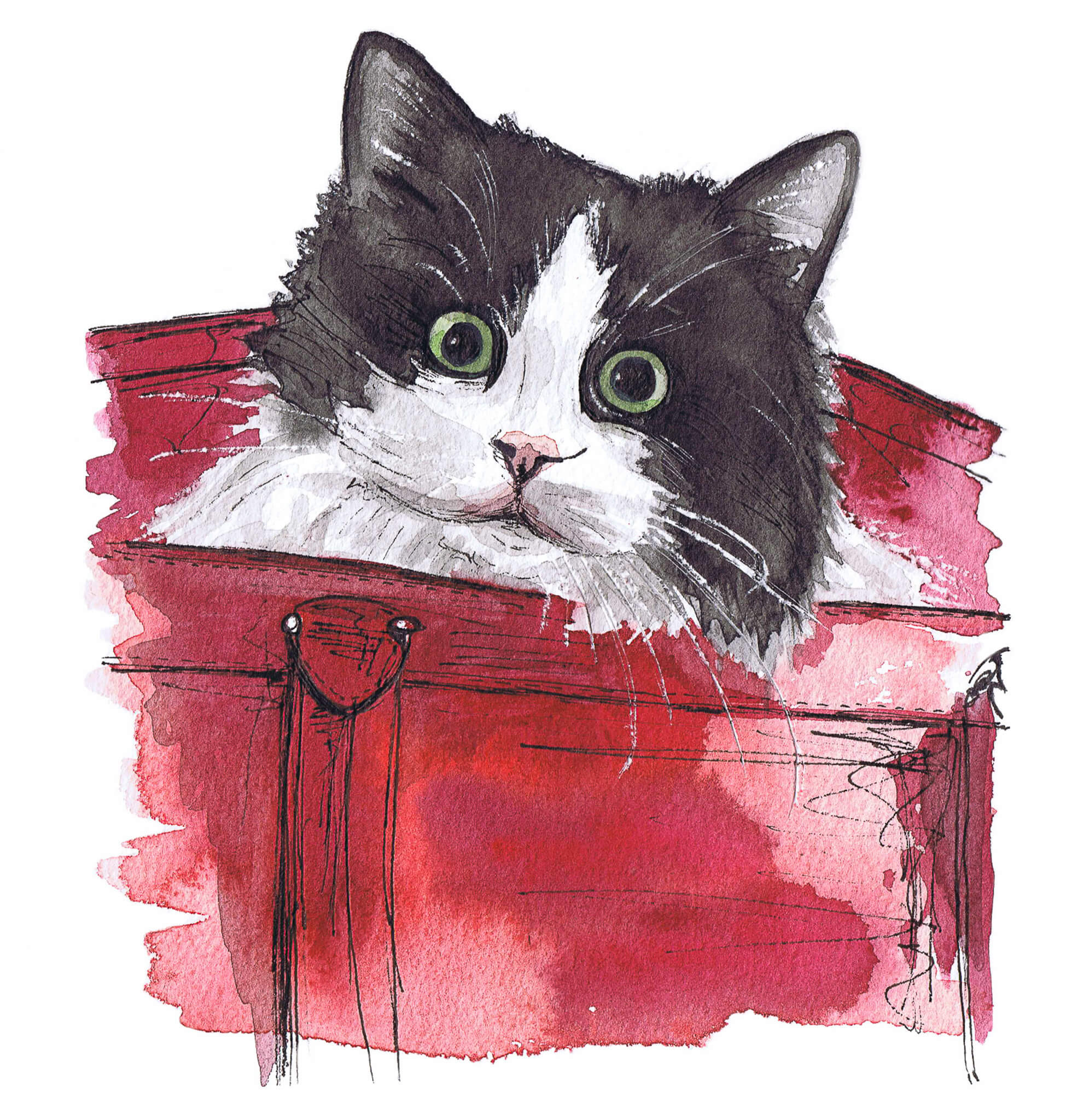 Kitten Pet Portrait by watercolor sketcher Katrina Dawn