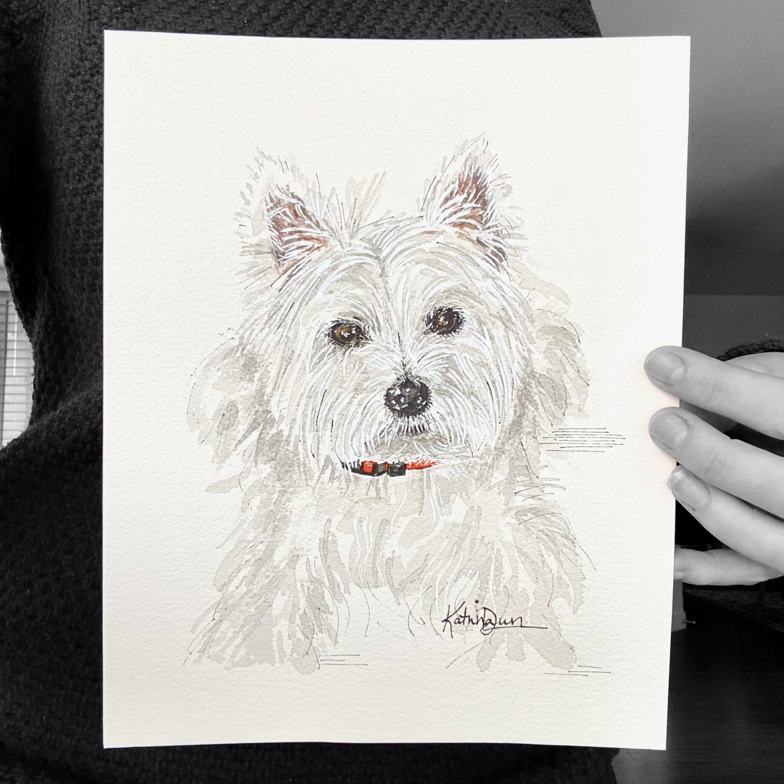 West Highland White Terrier Pet Portrait, Westie, watercolour sketch by artist Katrina Dawn
